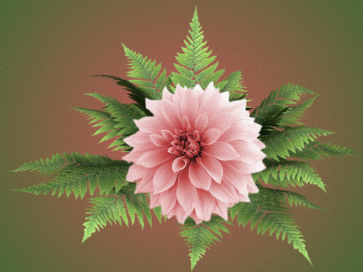 428232 (a): :1600x1200